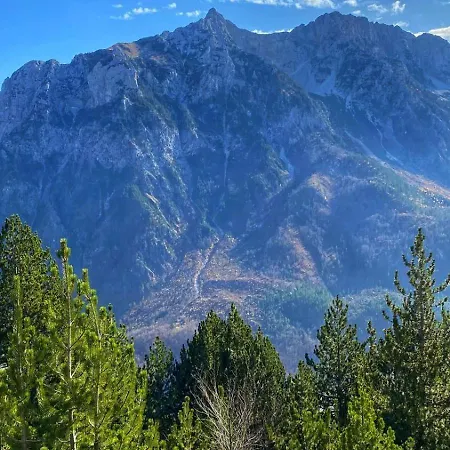 Casa vacanze Tradita *