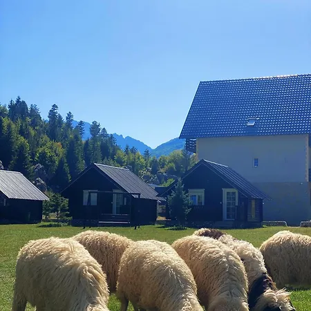 Tradita Ferienhaus *