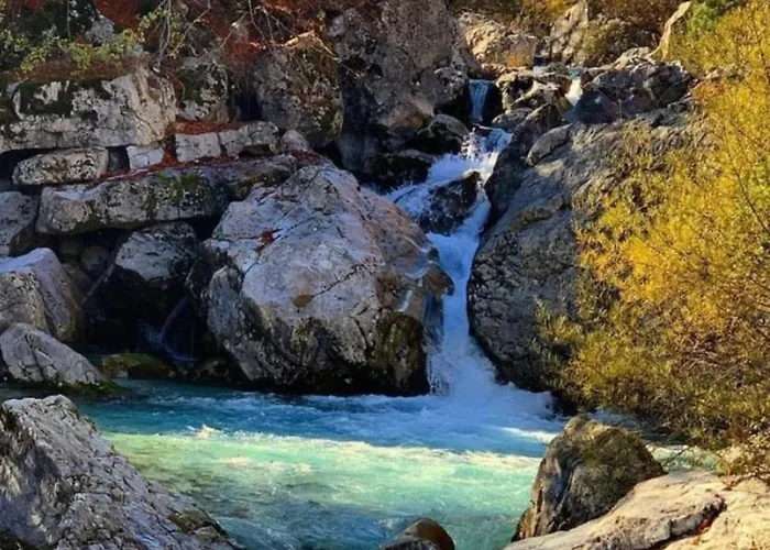 Dom wakacyjny Tradita *