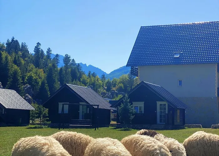 Tradita Dom wakacyjny *