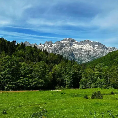 Tradita بيت للعطل *