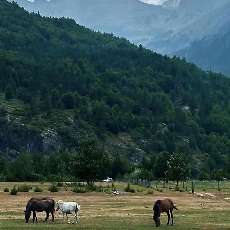 Tradita بيت للعطل فالبني