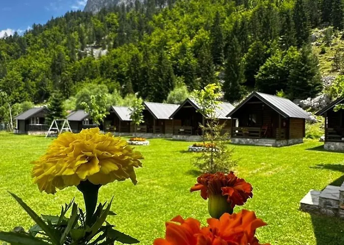 Dom wakacyjny Tradita *