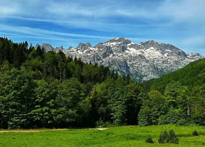 Tradita Dom wakacyjny *