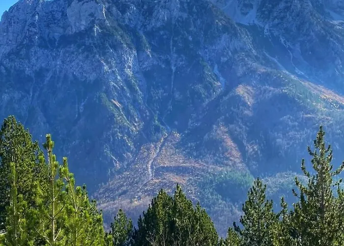 Holiday home Tradita *