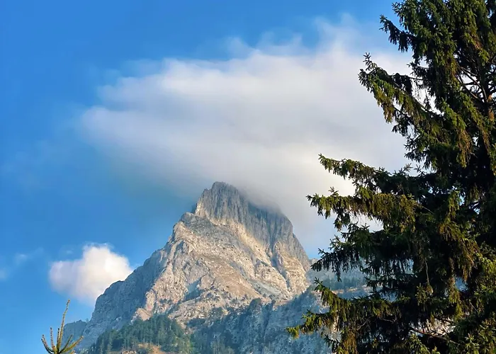 Dom wakacyjny Tradita *